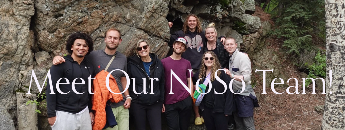 A group of nine people posing together outdoors in front of a rocky forest cave entrance, with large overlaid text reading 'Meet Our NoSo Team!'. Because people and a real outdoor environment are clearly present, this is Lifestyle rather than Product/Packaging.