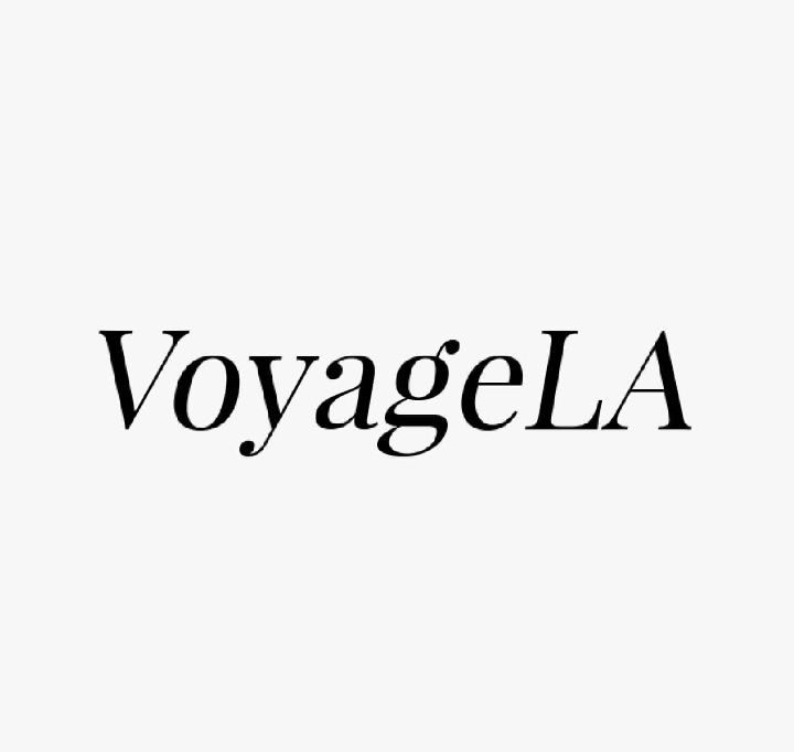 The text 'VoyageLA' is displayed in a black serif typeface, centered on a solid light gray background.